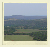 View From Suikerbos